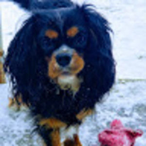 Meet your Posher, Rebecca lee